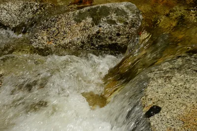 DSC_2274 (Large).JPG